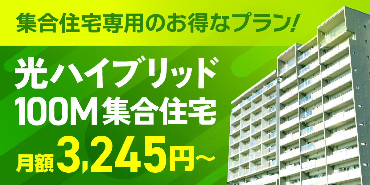光ハイブリッド100M集合住宅専用プラン